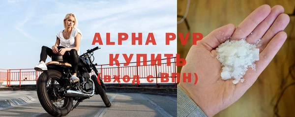 гидра Елизово