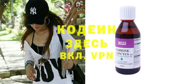 гидра Елизово