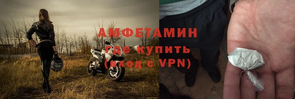 гидра Елизово