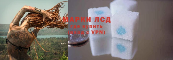 гидра Елизово