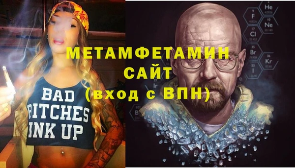 гидра Елизово