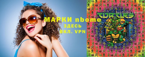 гидра Елизово