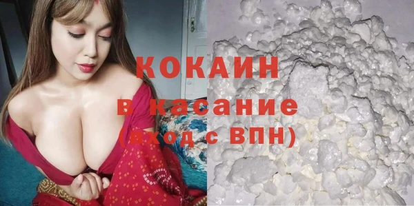 гидра Елизово